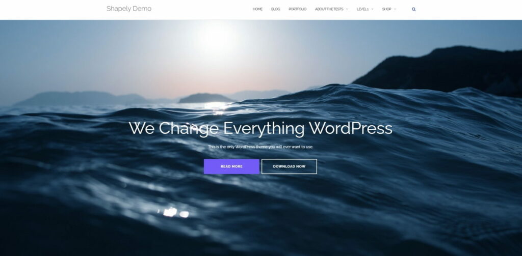Shapely - Template WordPress Ottimo per un portfolio o sito vetrina